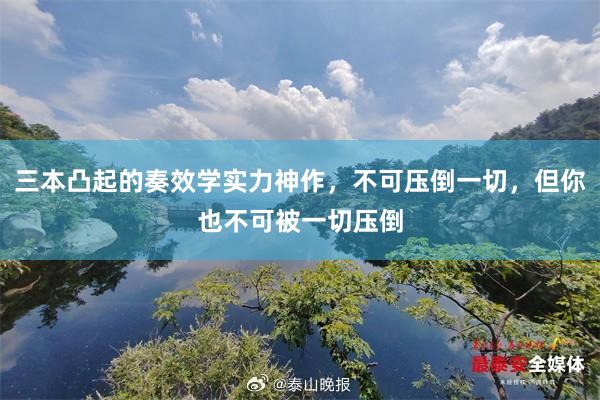 三本凸起的奏效学实力神作，不可压倒一切，但你也不可被一切压倒