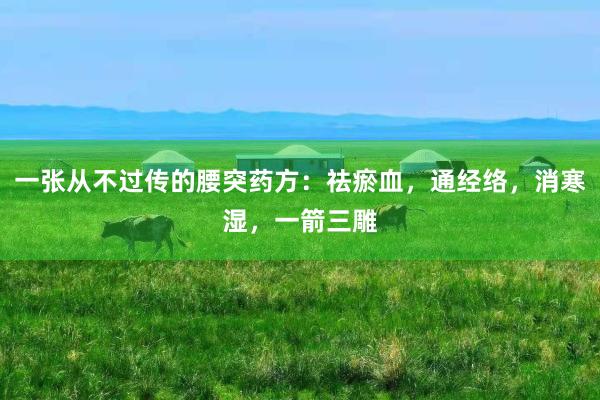 一张从不过传的腰突药方：祛瘀血，通经络，消寒湿，一箭三雕