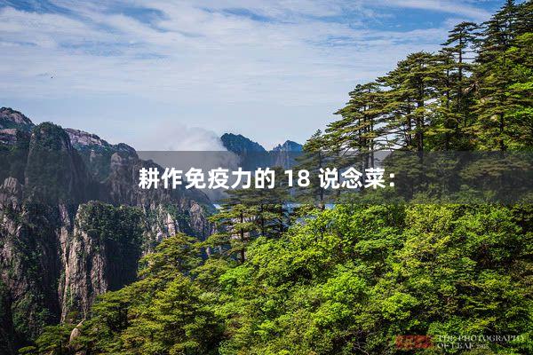 耕作免疫力的 18 说念菜: