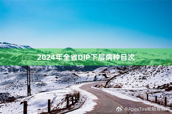 2024年全省DIP下层病种目次