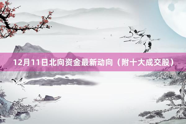 12月11日北向资金最新动向（附十大成交股）